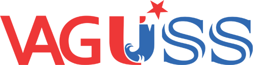 Vaguss Nidhi India Pvt Ltd